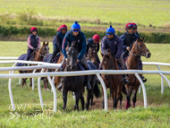 HC240925-16 - Harry Charlton Stable Visit